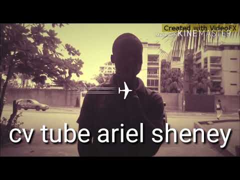 TÉLÉCHARGER ARIEL SHENEY DEVIENT CHAMPAGNE